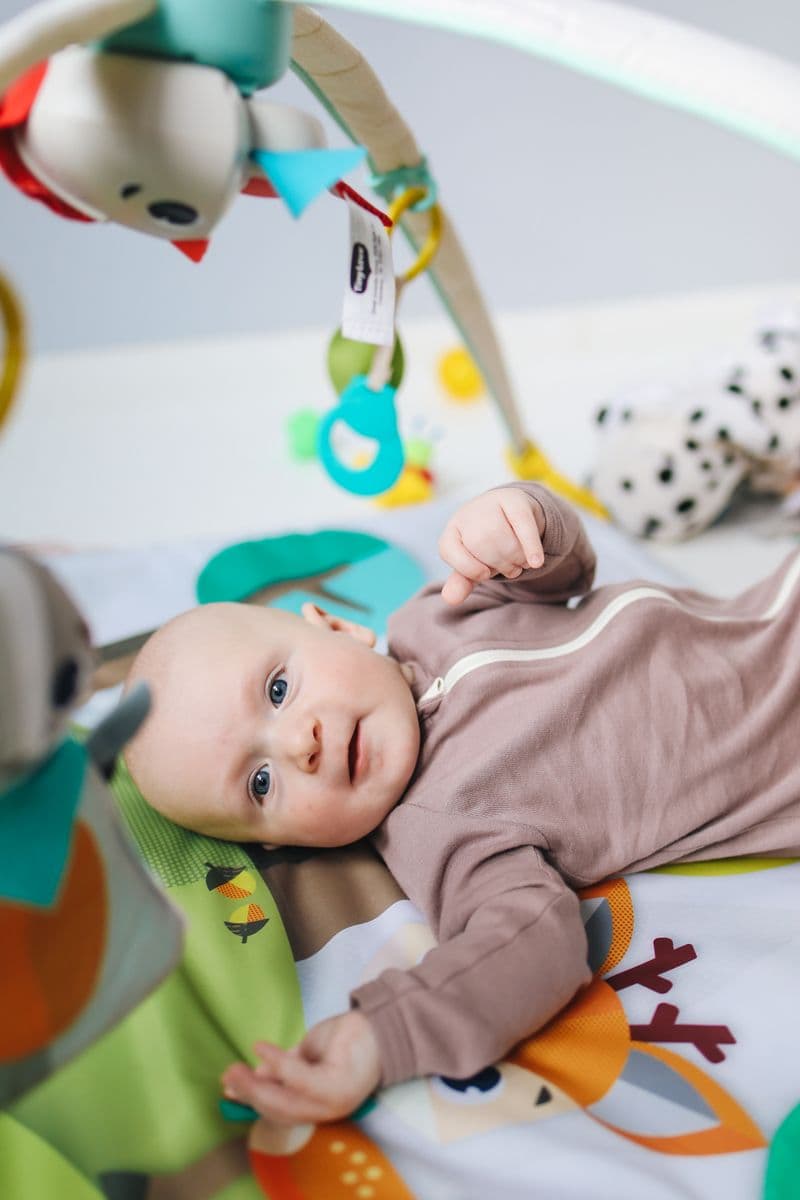 Bebek Arabası Seçme Rehberi (Stroller 101)